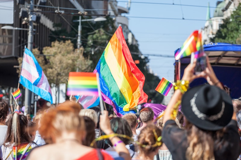  Crowd raising and holding rainbow gay flags during a Gay Pride. Trans flags can be seen as well in ...