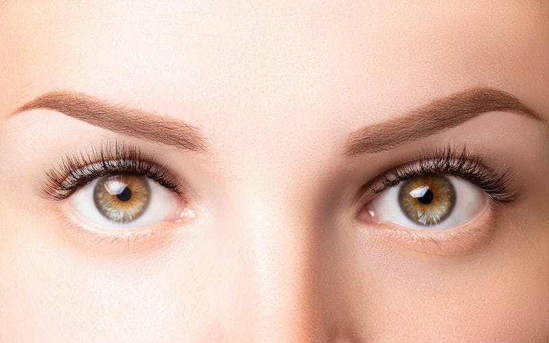 Female eyes with long eyelashes. Classic 1D, 2D eyelash extensions and light brown eyebrow close up....