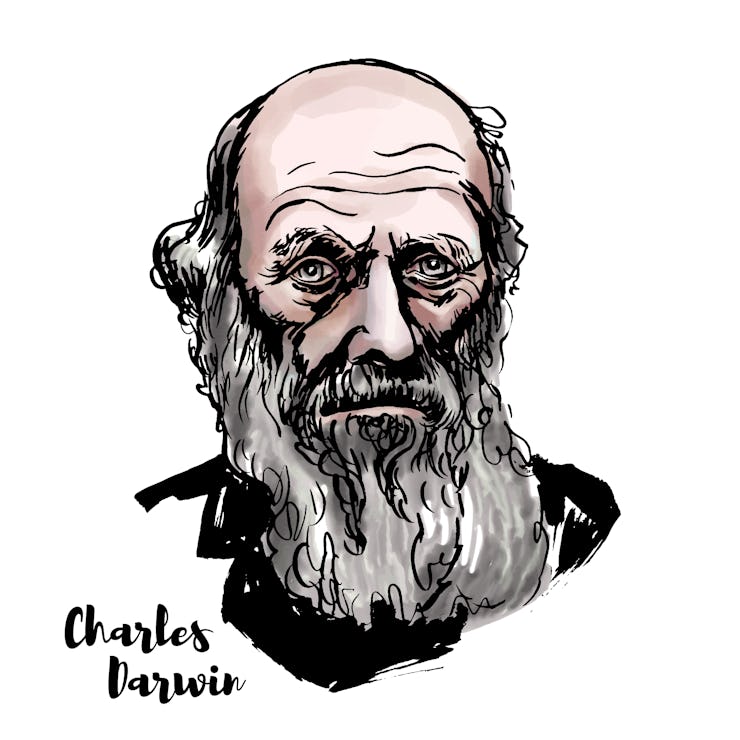 Charles Darwin watercolor vector portrait with ink contours. English naturalist, geologist and biolo...