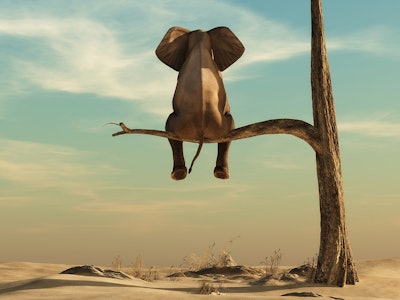 Elephant stands on thin branch of withered tree in surreal landscape. This is a 3d render illustrati...