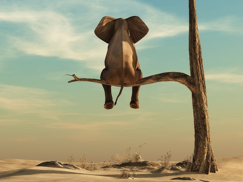 Elephant stands on thin branch of withered tree in surreal landscape. This is a 3d render illustrati...