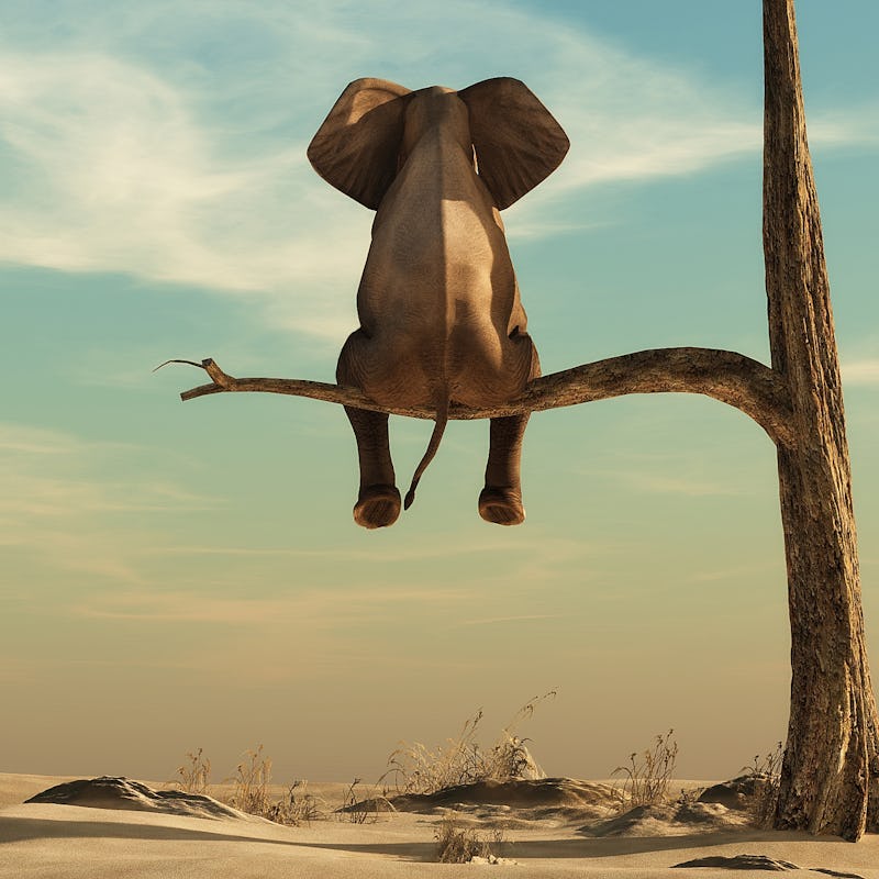 Elephant stands on thin branch of withered tree in surreal landscape. This is a 3d render illustrati...
