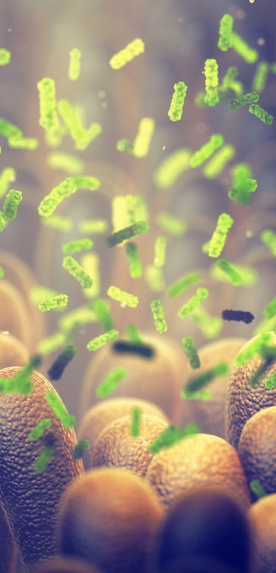 Intestinal bacteria, Gut microbiome