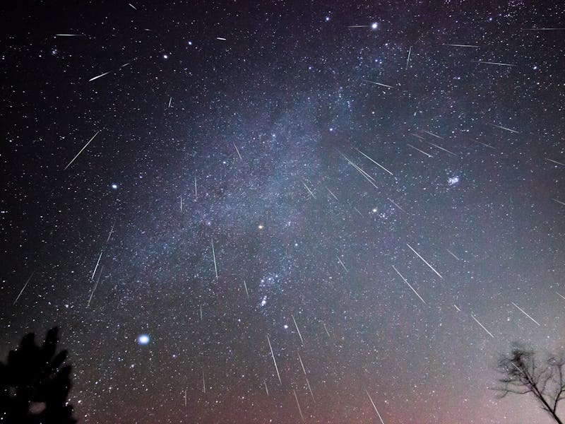 Geminid meteors shower downward in this composite image taken over several hours on a December night...