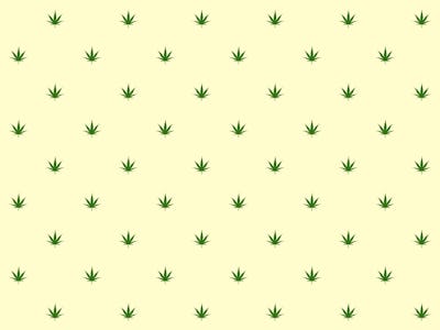 Seamless pattern. Marijuana icon. Cannabis leaf vector illustration isolated on white. Medical canab...