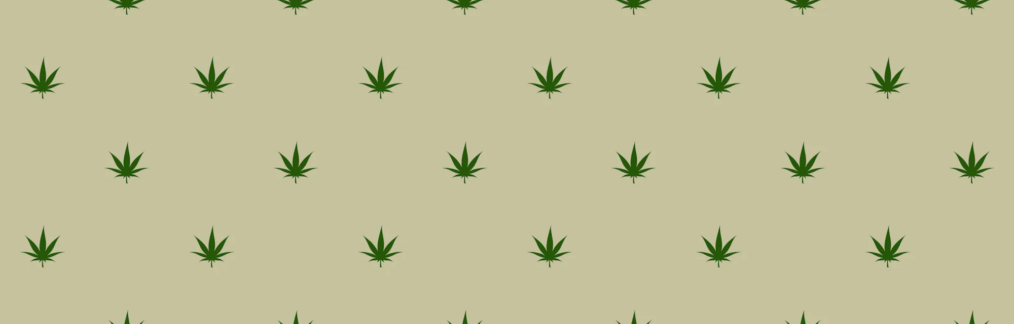 Seamless pattern. Marijuana icon. Cannabis leaf vector illustration isolated on white. Medical canab...