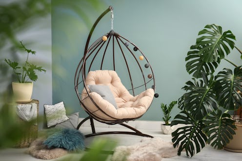 The Houseplant You Should Get, Based On Your Zodiac Sign