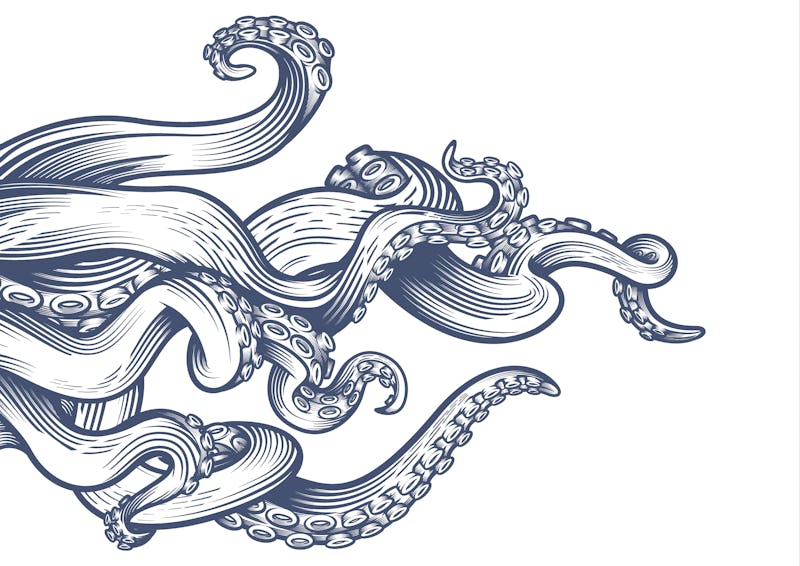 A manually created vector artwork featuring octopus tentacles, drawn in an engraving style 