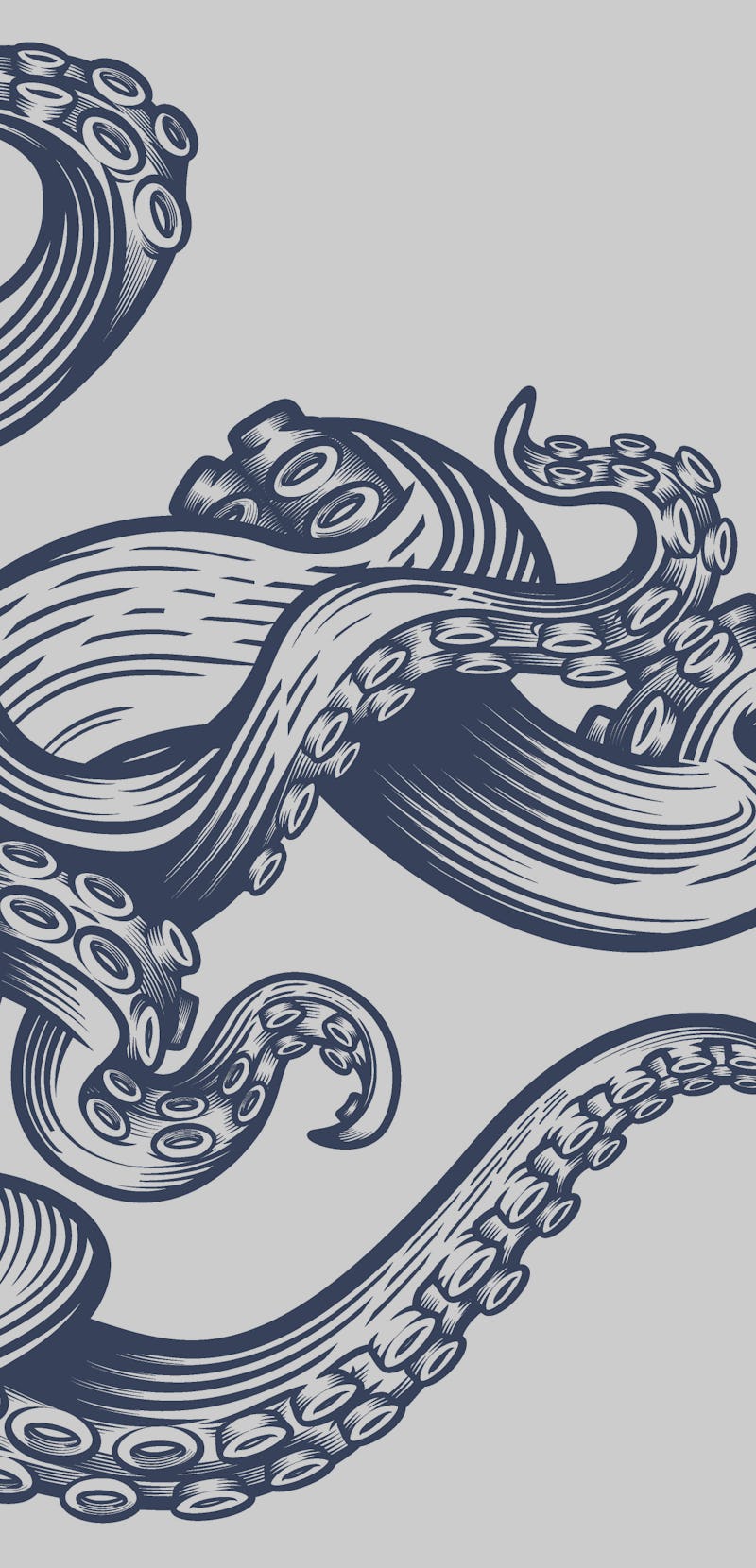 A manually created vector artwork featuring octopus tentacles, drawn in an engraving style 