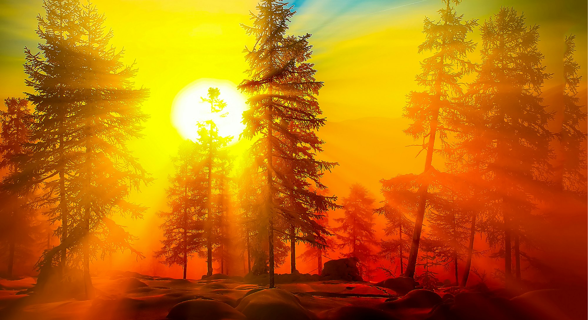 Sunrise in forest. Forest sunrise view. Sunrise forest trees landscape. Sunrise in winter forest