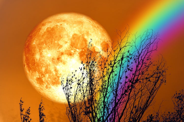 full blood moon back silhouette dry tree and colorful sky, Elements of this image furnished by NASA