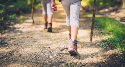 Children hiking in mountains or forest with sport hiking shoes. Girls or boys are walking trough for...