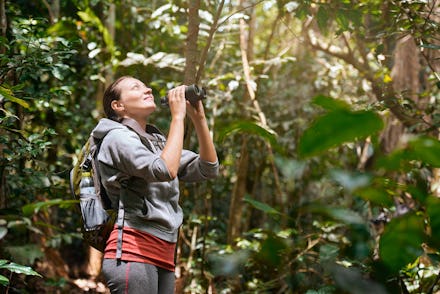 Hiker watching through binoculars wild birds in the tropical jungle. Bird watching tours. Ecotourism...