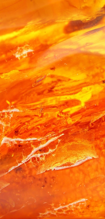 Natural amber texture. Multicolored background for advertising and banners.
Vintage fossilized resin...