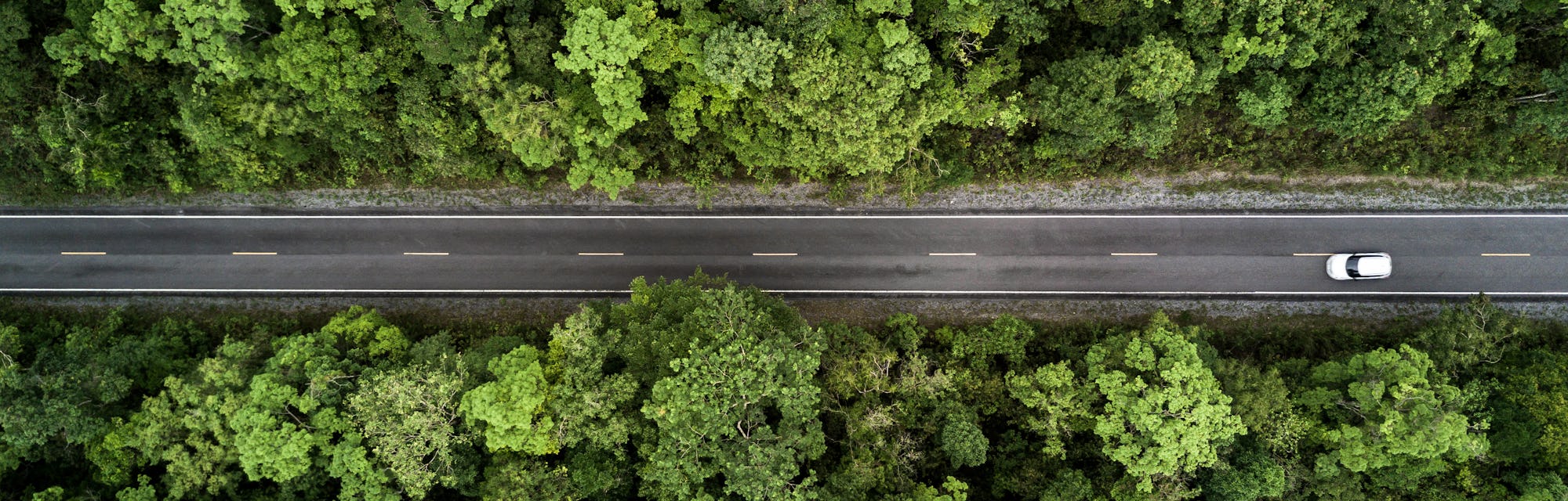 Aerial view road going through forest, Road through the green forest, Aerial top view car in forest,...