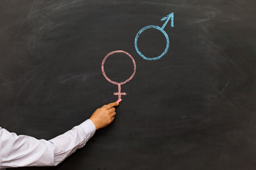 Gender symbols or signs for the male and female sex drawn on a blackboard. Sex Ed