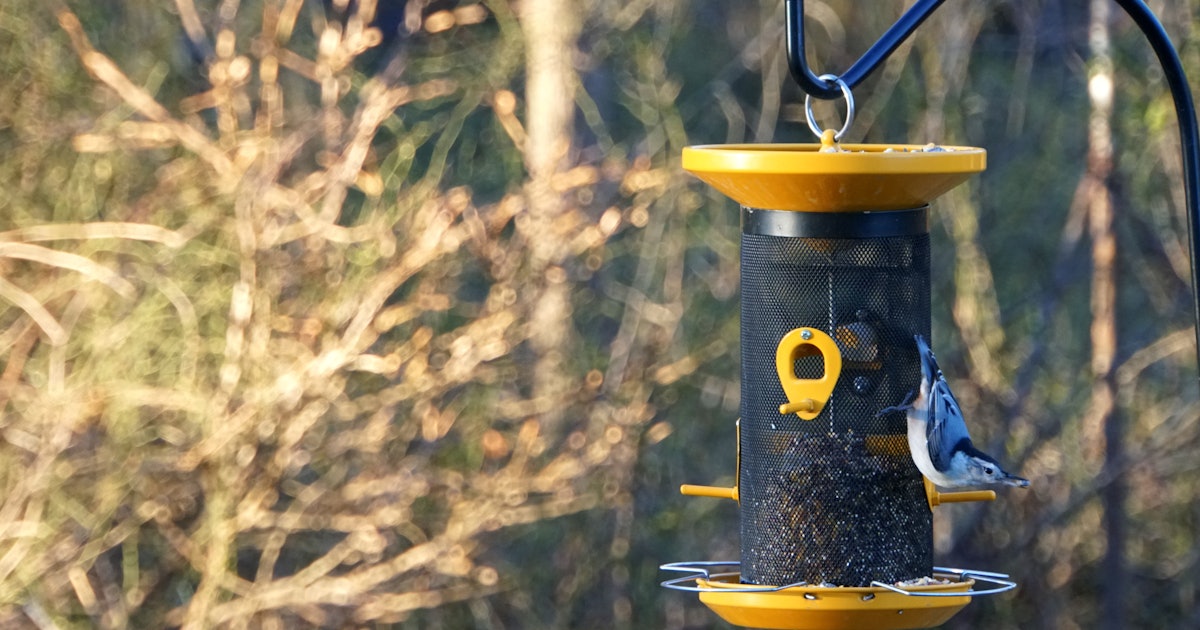 bird feeder poles
