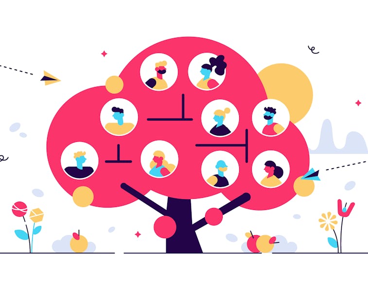 Family tree flat vector illustration. Example of relatives connection data. Human genealogical herit...