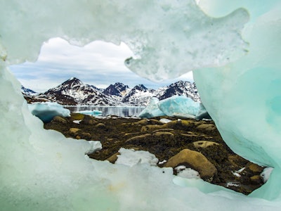 Sea Ice Window