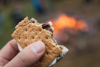 This a shallow depth of field image of a smore held in hand in front of a camp fire.