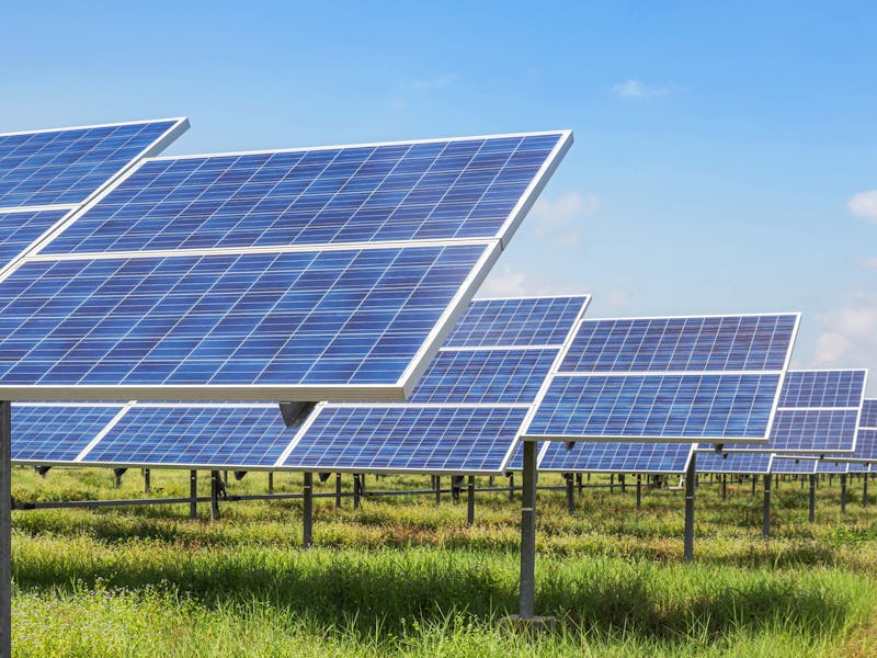 Solar cells or solar module or solar panels in solar power plant turn up skyward absorb the sunlight...