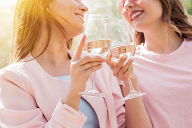 Close up of two happy women cheering with glasses of white wine and smiling while having picnic. Bea...