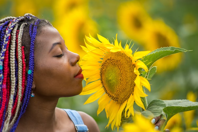 Outdoor portrait of beautiful happy mixed race African American girl teenager female young woman in...