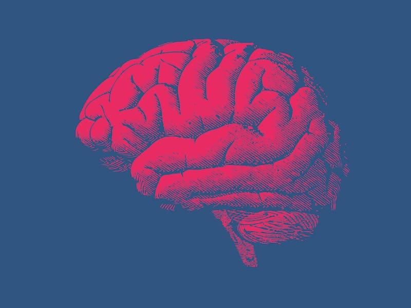 Engraving drawing bright red human brain side view illustration isolated on dark blue background