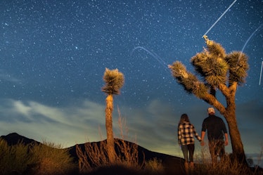 A couple stargazes in Joshua Tree National Park, while holding hands. 