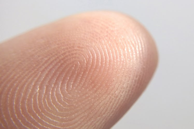 A close-up of a fingerprint can be seen.