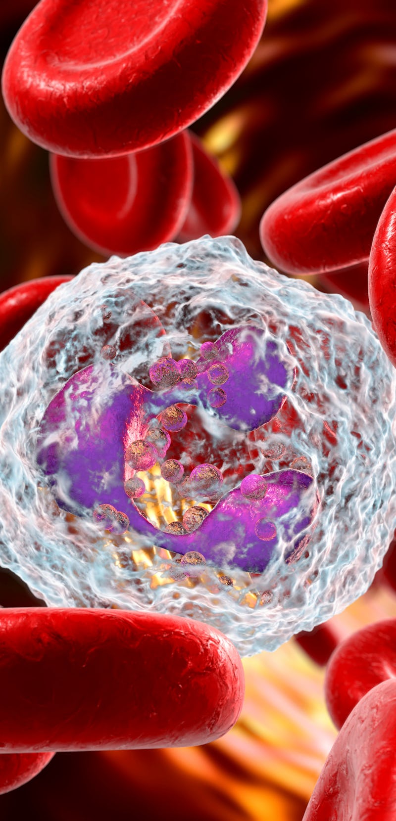 Neutrophil in blood, a white blood cell, 3D illustration. The most abundant type of granulocytes, ha...