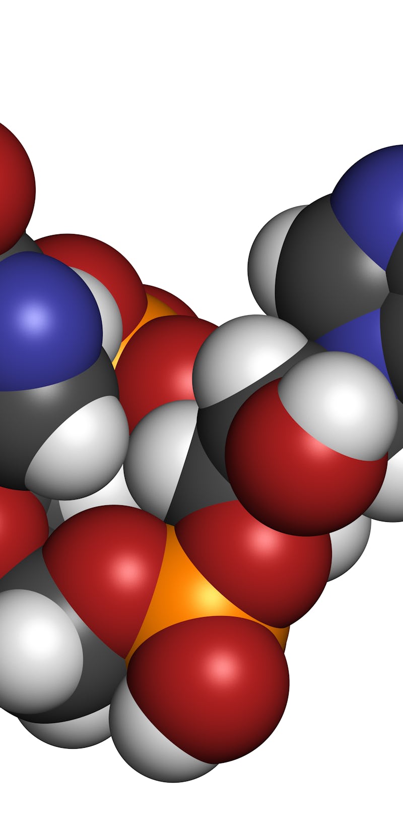 Cyclic guanosine monophosphate–adenosine monophosphate (2',3'-cGAMP) molecule. 3D rendering. Atoms a...