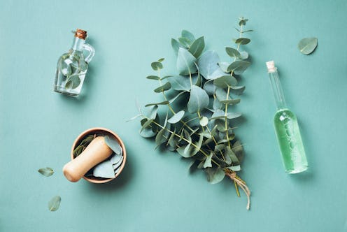 Bowl, bottles of eucalyptus essential oil, mortar, bunch of fresh eucalyptus branches on green backg...