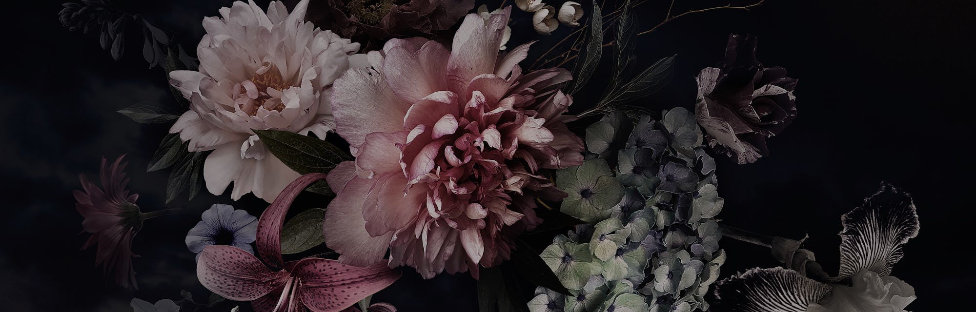 A bunch of peonies, tulips, lily, and hydrangea can be seen in front of a black background. The styl...