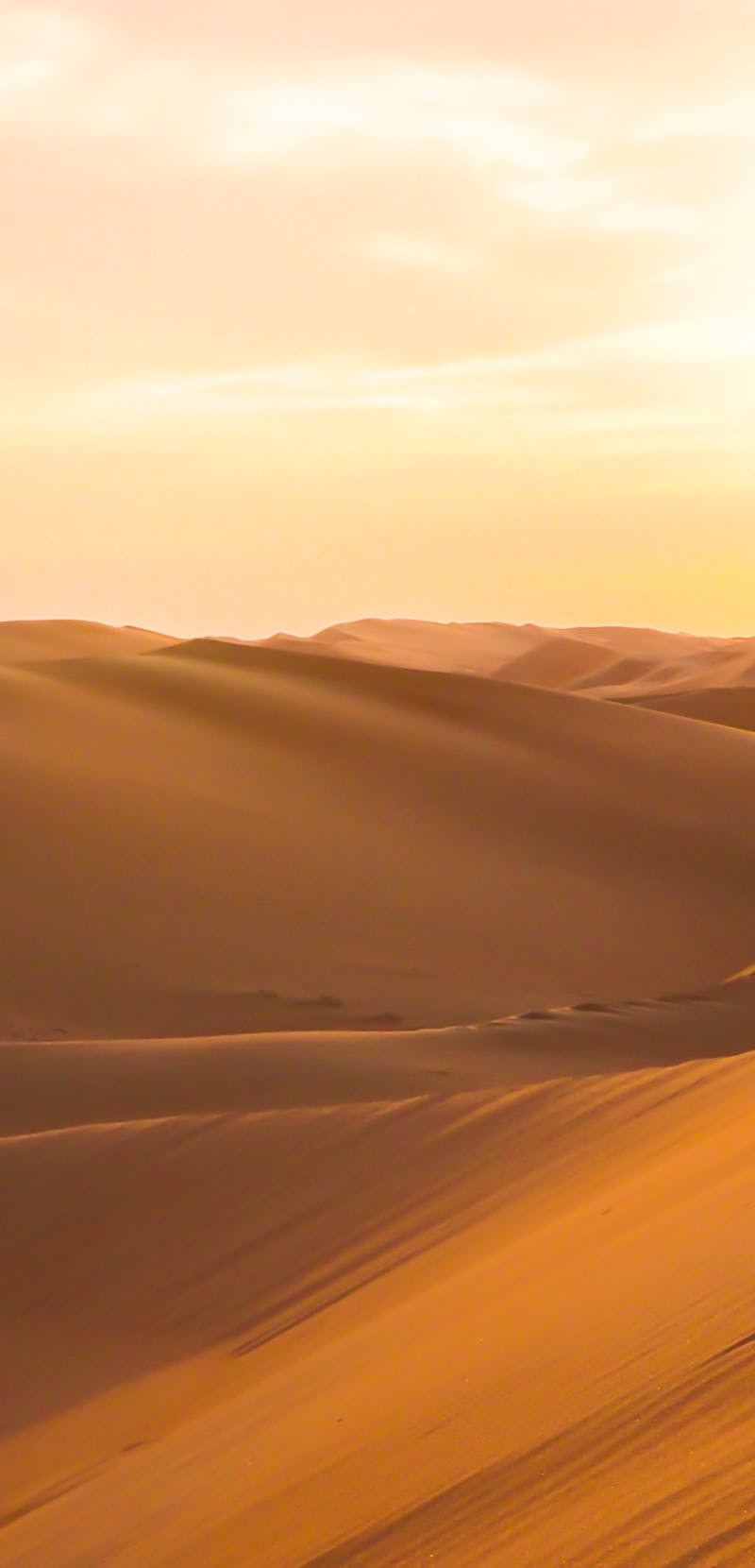 Amazing desert sunset. Beautiful Arabian desert with warm colors. Colorful contours of sand dunes at...