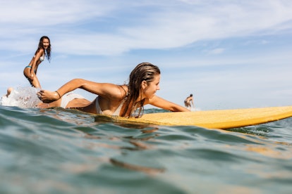 Two beautiful fit surfing girl on surf longboard surfboard board on sunrise or sunset in the ocean. ...