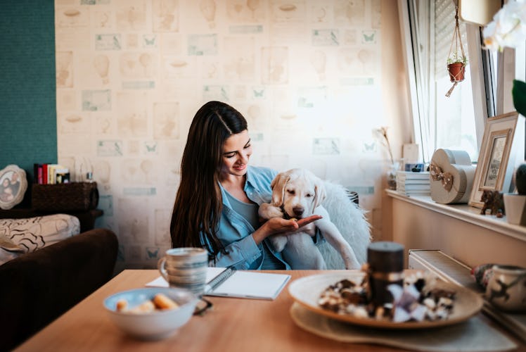 A brunette woman smiles while giving her dog a treat at the table in her kitchen.