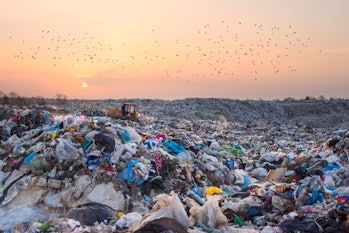 Birds gulls fly over a landfill in Europe, like over a huge sea of garbage in search of food. Waste lies thickly up to the forest, attracting birds and rodents