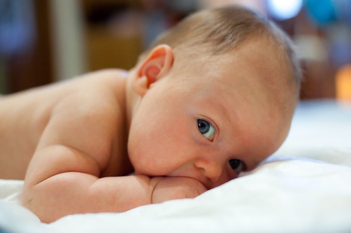Two month old baby laying on his tummy, sucking his fist and trying to hold his head. Baby looking s...