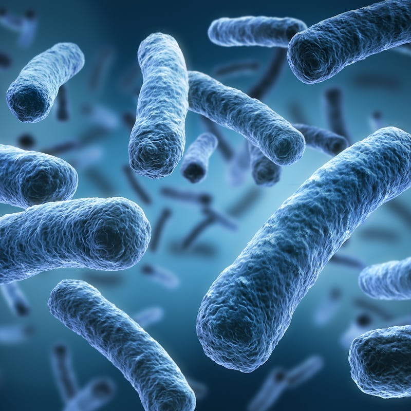Legionella pneumophila - medical 3d illustration