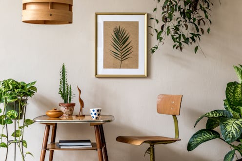 Retro interior design of living room with stylish vintage chair and table, plants, cacti, personal a...