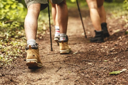 People hiking.Only legs and tracking boots are visible. Rear view.