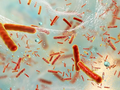 Antibiotic resistant bacteria inside a biofilm, 3D illustration. Biofilm is a community of bacteria ...