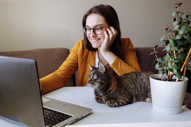 Remote work. The girl is sitting at the computer and looks at screen. A tabby cat sits next to me an...