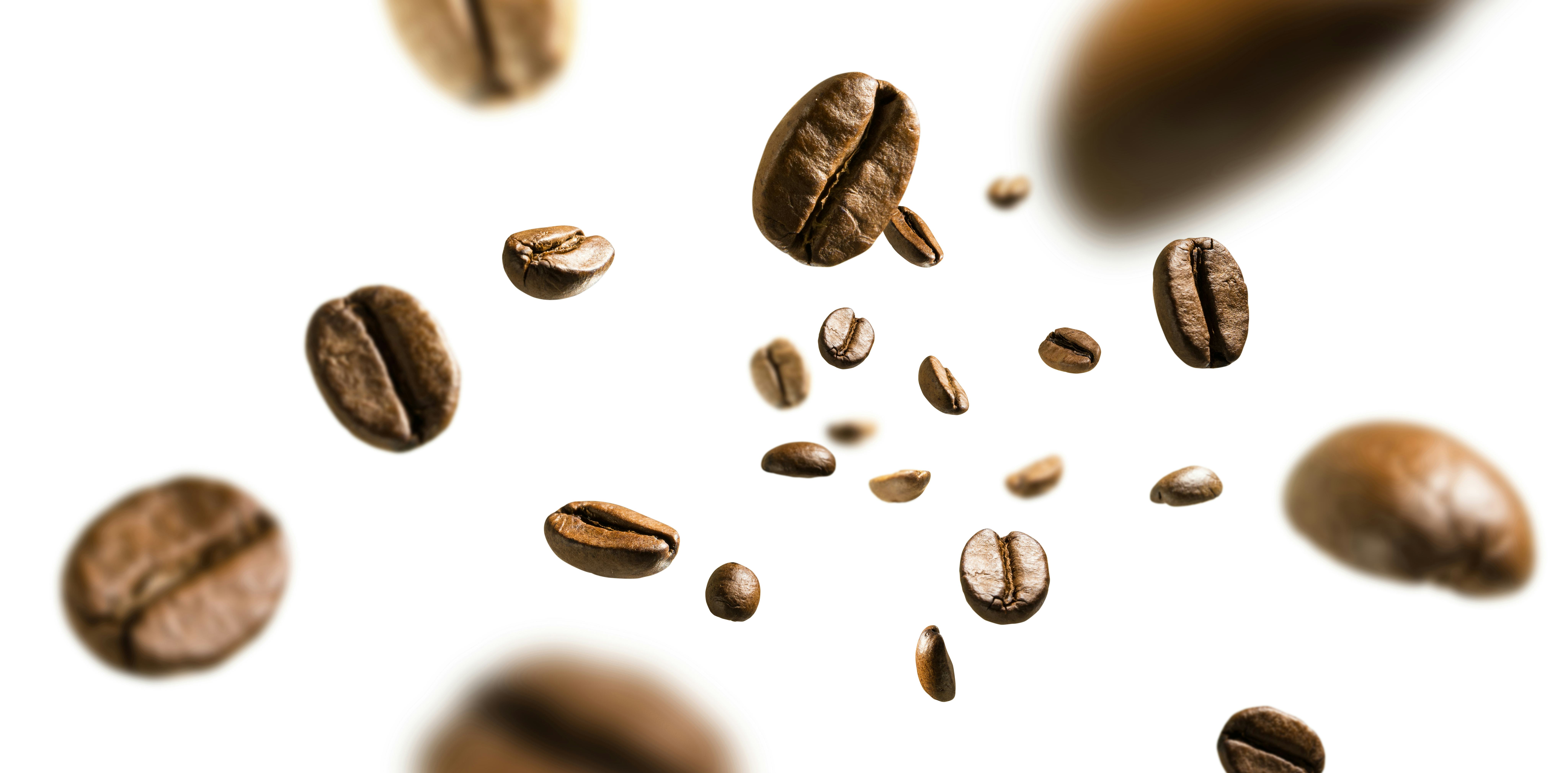 Coffee beans in flight on white background