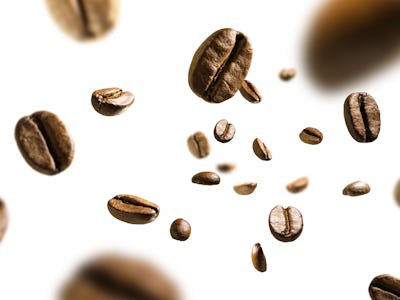 Coffee beans in flight on white background