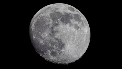 The Corona Moon From Olympia Washington