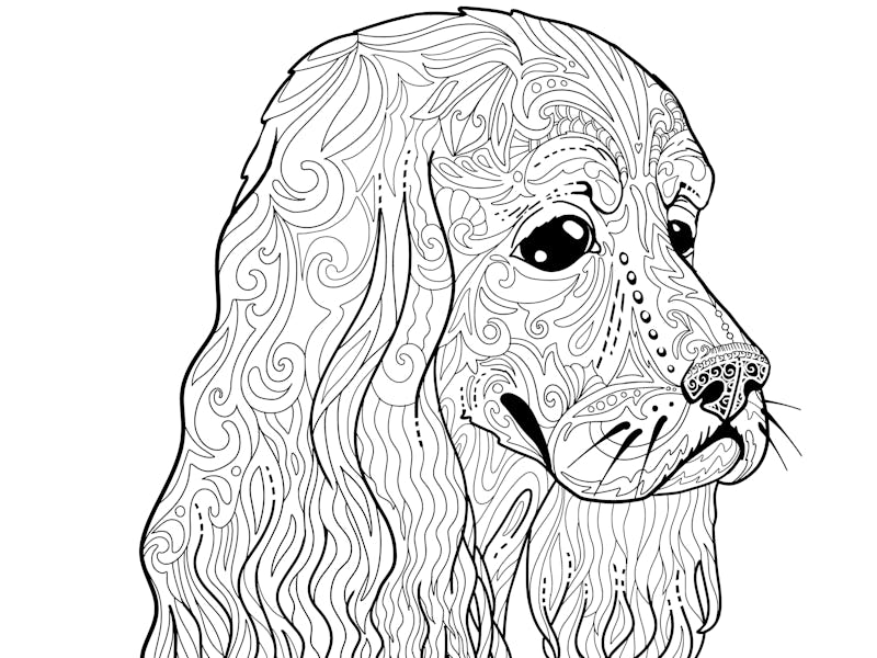 Coloring book page with spaniel head for adults. Ethnic decorative doodle dog. Vector illustration i...