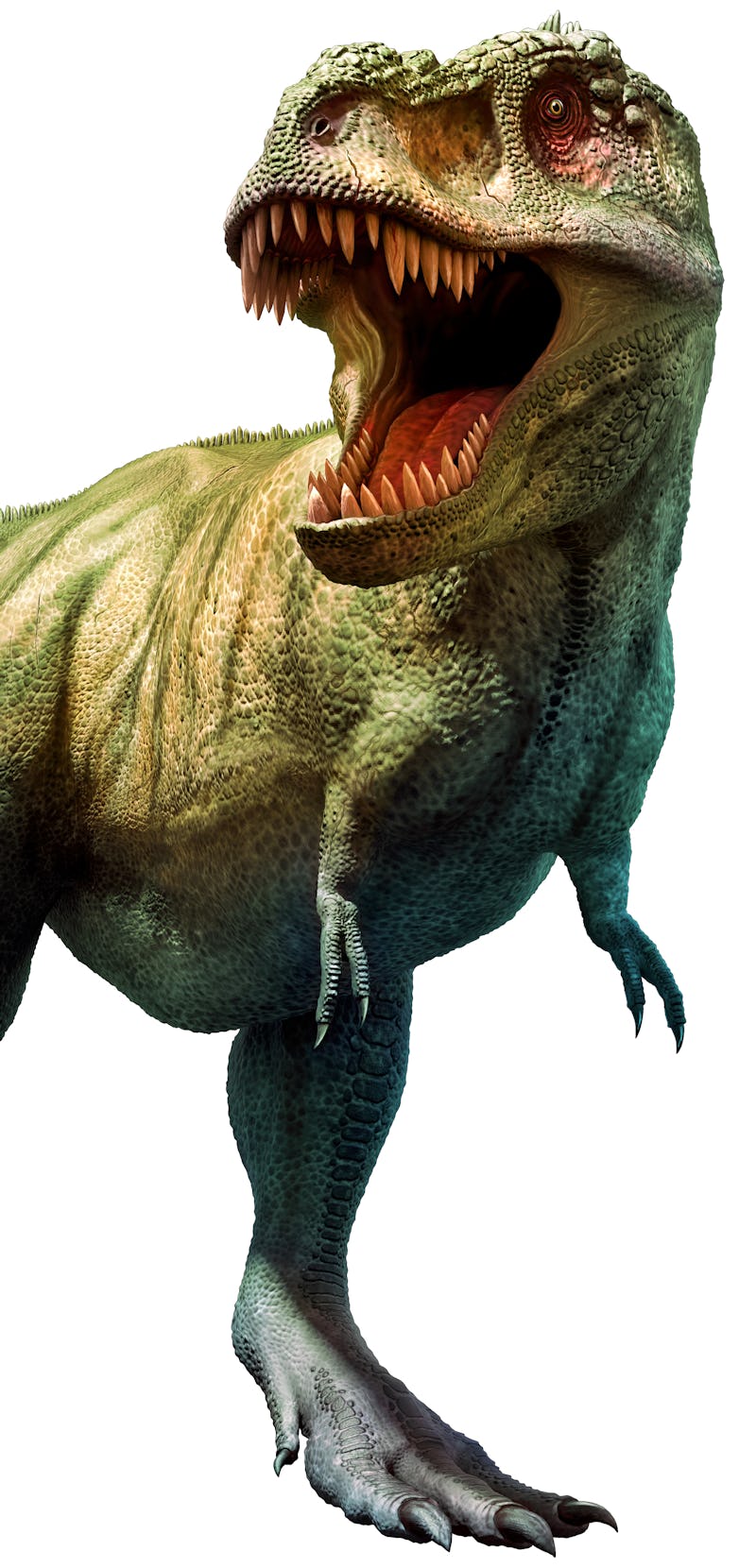 Tyrannosaurus rex dinosaur from the Cretaceous era 3D illustration
