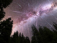 A view of a Meteor Shower and the purple Milky Way with pine trees forest silhouette in the foregrou...